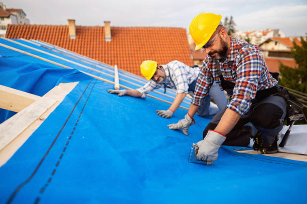 Roof Gutter Cleaning in Benton Park, CA